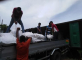 Distribution of rice provided under Indian aid